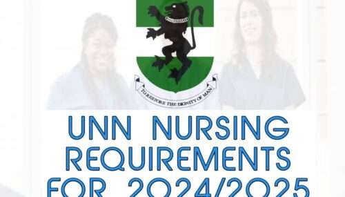 UNN Nursing Requirements For 2025/2026 [UPDATED]